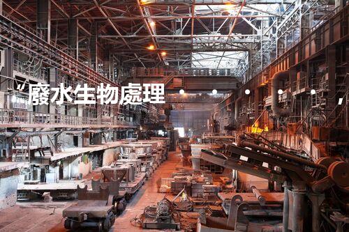 “廢水生物處理，旨在凈化水源，守護碧水藍天”